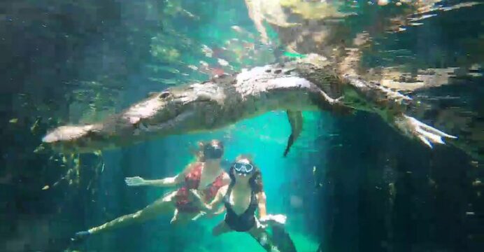 La verdad detrás del video viral de la pareja que nadó con un cocodrilo en  un cenote de Tulum