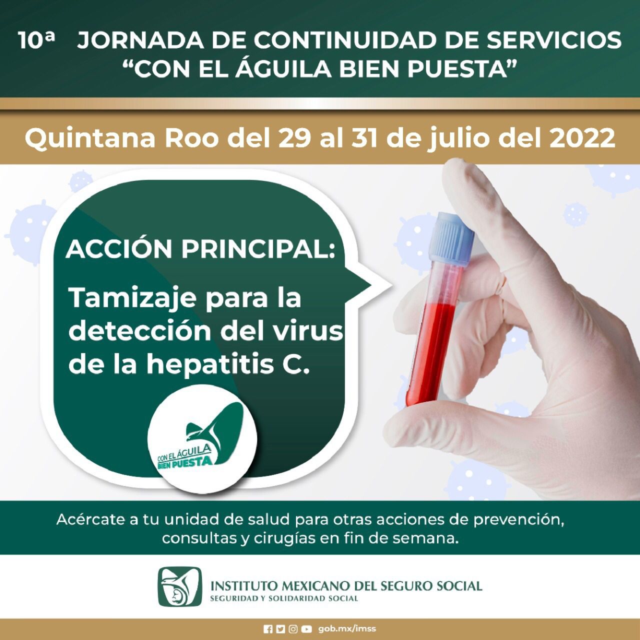 Realizará IMSS Quintana Roo detecciones de Hepatitis C este fin de semana