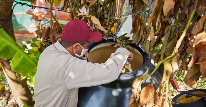 Se tiene controlado el brote de mosquito Aedes Aegypti que causa el dengue, con los programas de Casa Limpia y nebulizaciones que se realizan.