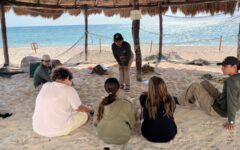 La Fundación Eco-Bahía celebra Día Mundial de la Tortuga Marina