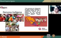 INMAYA y Tribunales Agrarios conmemoran el Día Naranja con panel sobre “Los Derechos de las Mujeres Indígenas”