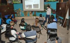 La Fundación de Parques y Museos convoca a la ciudadanía a ser parte del voluntariado del programa de Protección a la Tortuga Marina