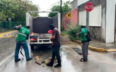 Intensas tareas de limpieza y prevención en Puerto Morelos ante las lluvias