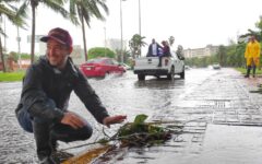Con mínimas afectaciones, Cancún pasa a alerta amarilla tras huracán “Beryl”