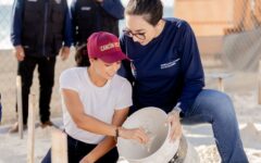 Garantiza Ana Paty Peralta la protección de tortugas marinas