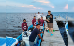 Avanza estudio sobre la movilidad de peces arrecifales juveniles en el SAM