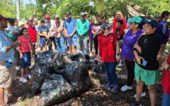 El IBANQROO, Fundación ADO y la Comunidad de Raudales, se suman al Día Internacional de Limpieza de Playas en el Santuario del Manatí