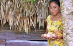 Mujeres emprendedoras en José María Morelos impulsan la venta de huevo orgánico