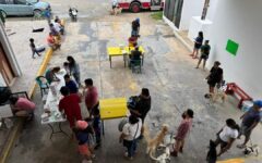 Asociación Civil lleva a cabo campaña antirrábica para perros y gatos en Tulum