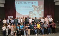 Quintana Roo impulsa capacitación gratuita en materia de bienestar animal: Ibanqroo