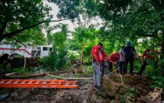 Rescatan sano y salvo a “lomito” atrapado en caverna en Felipe Carrillo Puerto