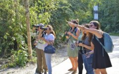 La FPMC invita a la jornada de observación “Las Aves y su Paso Migratorio Urbano”