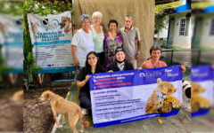 Exitosa jornada de esterilización y atención medica veterinaria gratuita, en Punta Allen: IBANQROO