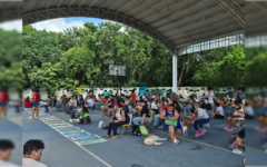 Concluye con gran éxito la Campaña Anual de Esterilización Canina y Felina en Playa del Carmen