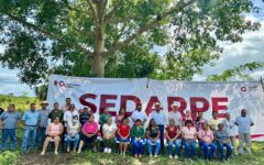 Arranca vacunación para prevenir septicemia en hato ganadero de Quintana Roo: Sedarpe