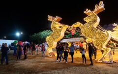 Playa del Carmen se ilumina con la magia de la Navidad