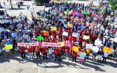 No quieren impuesto a cruceristas