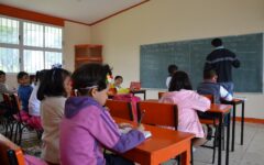 Lengua maya en educación básica