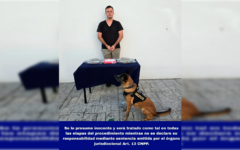 Binomio canino permite detener a individuo con paquetes de droga