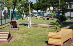 Parque Canino de Cozumel abre en nuevo horario extendido