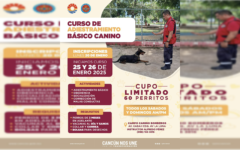 Impartirá bomberos de Cancún “Curso de Adiestramiento Básico Canino 2025”