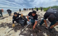 Levantan en playa de Puerto Morelos 221 kg de desechos