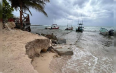 Rescate de playas en el estado