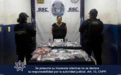 Mujer detenida por robo a comercio