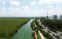 Cancún, sede del Segundo Foro Internacional de Mujeres Naturalistas