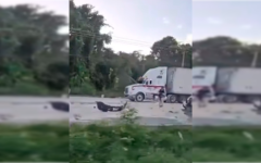 Fuerte accidente en carretera federal, en Puerto Morelos