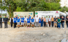 Tulum avanza en la reforestación de la avenida La Selva