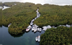 Saneamiento de la Laguna Nichupté, un esfuerzo conjunto para la conservación marina