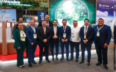 Exitosa participación de Quintana Roo en ANATO 2025