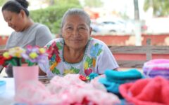 Lanza SEDE Programa Escuela de Negocios “De Artesana a Empresaria” e inaugura el Taller de Capacitación de Productos Textiles en el municipio Lázaro Cárdenas