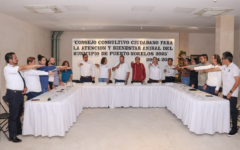 Instalan el Consejo Consultivo Ciudadano para la Atención y Bienestar Animal de Puerto Morelos