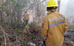 Controlan incendio en CTM y Lilis gracias a respuesta inmediata del Gobierno de Playa del Carmen