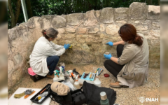 Especialistas del INAH rescatan valiosa pintura maya del Conjunto de los Dragones en San Miguelito