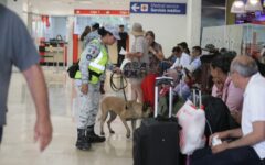 Cancún registra 451 operaciones aéreas esta jornada