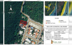 Buscan edificar el proyecto “Botánica” en Puerto Morelos