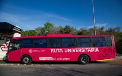 Estefanía Mercado anuncia la “Ruta Universitaria: Transporte sin tanto choro” para brindar movilidad gratuita a más de 1,700 estudiantes