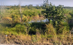 Ecocidio en la comunidad de Huay-Pix
