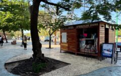 Anuncian más ‘islas’ para la avenida Tulum