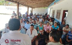 Impulsa SEDARPE la apicultura en Quintana Roo