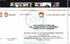 Presenta sus avances el subcomité