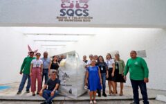 Contribuye el SQCS al cuidado y protección del medio ambiente