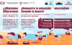 Gobierno de Cozumel convoca a limpieza masiva de playas por el Día Mundial de la Tortuga