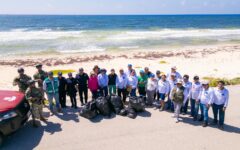Gobierno Municipal conmemora el Día mundial de la tortuga con Jornada de limpieza playas en Punta Chiquero