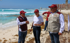 Ana Paty Peralta refuerza acciones de recolección de sargazo en playas públicas
