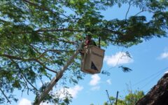 Habitantes comienzan a prepararse ante la temporada de huracanes
