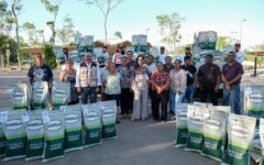 Entrega Mara Lezama 70 toneladas de semilla mejorada de maíz, en beneficio de casi mil 700 familias de municipios del sur